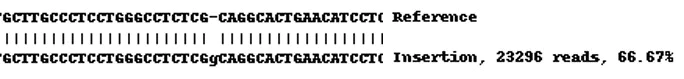 Next Generation Sequencing - Human TMEM173 knockout THP-1 cell lysate (AB270516)