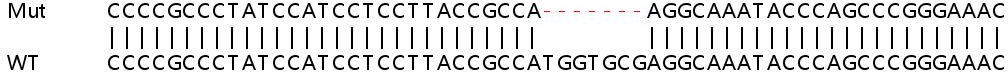 Sanger Sequencing - Human TMEM208 knockout HEK-293T cell line (AB266633), expandable thumbnail