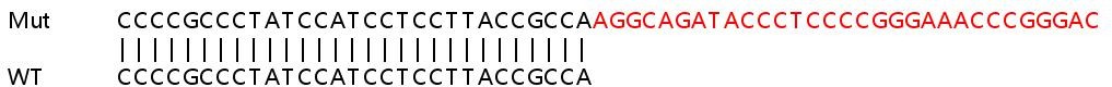 Sanger Sequencing - Human TMEM208 knockout HEK-293T cell line (AB266633), expandable thumbnail