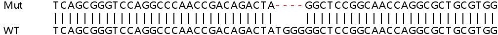 Sanger Sequencing - Human TMEM97 knockout HEK-293T cell line (AB266499)
