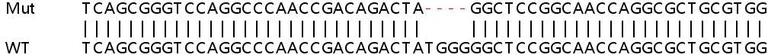Sanger Sequencing - Human TMEM97 knockout HEK-293T cell lysate (AB258723)