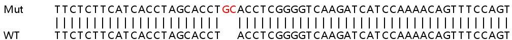 Human TMOD3 (Tropomodulin 3) knockout HeLa cell lysate