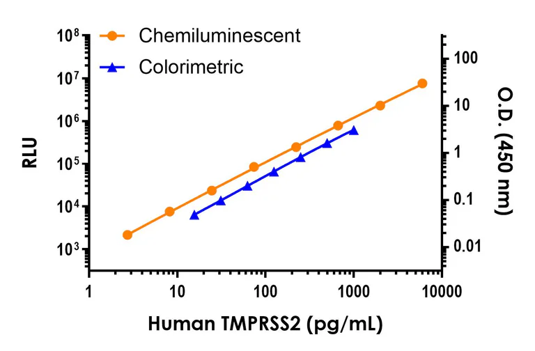 Sandwich ELISA - Human TMPRSS2 ELISA Kit, Chemiluminescent (AB326006)