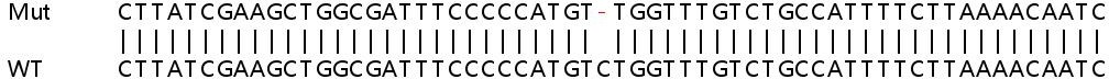 Sanger Sequencing - Human TMSB10 (Thymosin beta 10) knockout HCT116 cell lysate (AB259194), expandable thumbnail