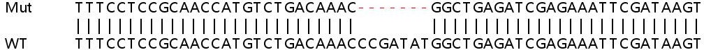 Sanger Sequencing - Human TMSB4X (Thymosin beta 4) knockout HEK-293T cell line (AB266490)