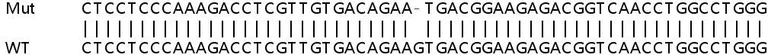 Sanger Sequencing - Human TNC (Tenascin C) knockout HeLa cell lysate (AB257292)