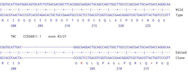 Next Generation Sequencing - Human TNC (Tenascin C) knockout U-2 OS cell line (AB262488)