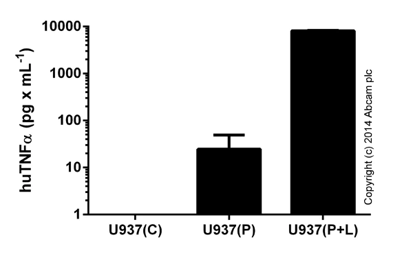Sandwich ELISA - Human TNF alpha ELISA Kit (AB100654)
