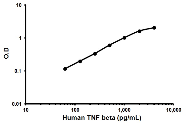 Sandwich ELISA - Human TNF beta ELISA Kit (AB119576), expandable thumbnail