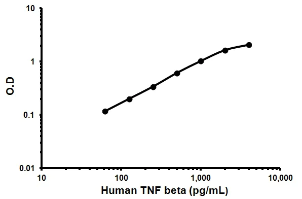 Sandwich ELISA - Human TNF beta ELISA Kit (AB119576)