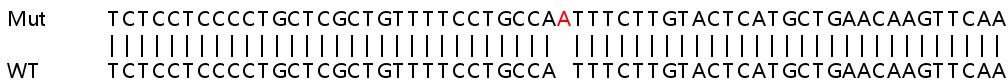 Sanger Sequencing - Human TNFAIP3 knockout HeLa cell lysate (AB257112), expandable thumbnail