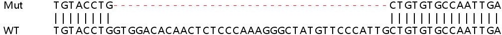 Sanger Sequencing - Human TNFRSF10A (DR4) knockout HeLa cell line (AB264687), expandable thumbnail