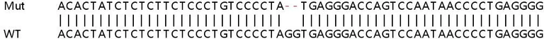 Sanger Sequencing - Human TNFRSF1A (TNF Receptor I) knockout HeLa cell line (AB265972)