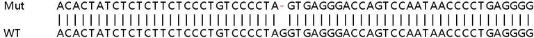 Sanger Sequencing - Human TNFRSF1A (TNF Receptor I) knockout HeLa cell line (AB265972)