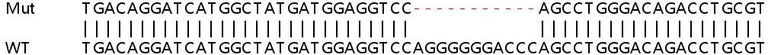 Sanger Sequencing - Human TNFSF10 (TRAIL) knockout A549 cell line (AB267160)
