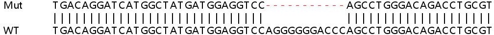 Sanger Sequencing - Human TNFSF10 (TRAIL) knockout A549 cell lysate (AB257140)