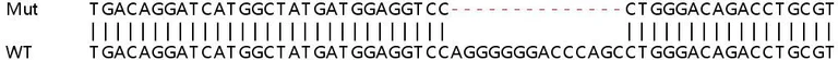 Sanger Sequencing - Human TNFSF10 (TRAIL) knockout A549 cell lysate (AB257140)