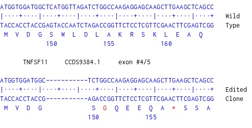 Next Generation Sequencing - Human TNFSF11 knockout HCT116 cell line (AB286666)