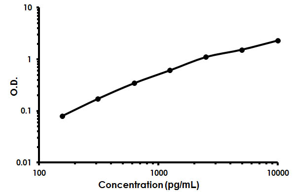 Sandwich ELISA - Human TNFSF4 ELISA Kit (OX40L) (AB213842), expandable thumbnail