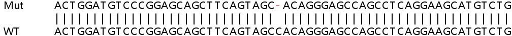 Sanger Sequencing - Human TNK1 knockout HeLa cell line (AB264870), expandable thumbnail