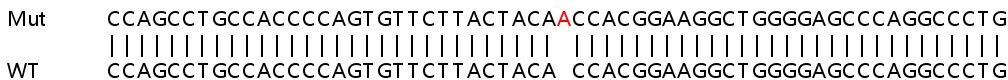 Sanger Sequencing - Human TNS4 (CTEN) knockout HeLa cell line (AB265576), expandable thumbnail