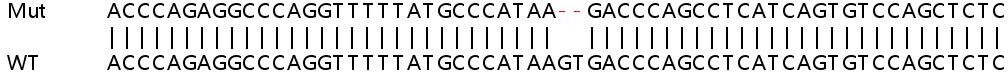 Sanger Sequencing - Human TOB1 (TOB) knockout HeLa cell line (AB264748), expandable thumbnail