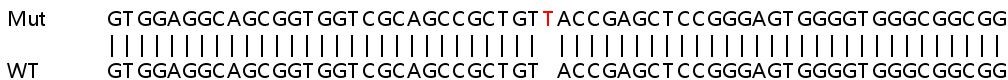 Sanger Sequencing - Human TOMM70A (TOM70) knockout HeLa cell line (AB265396), expandable thumbnail