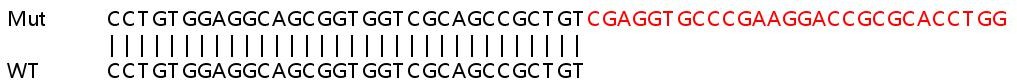 Sanger Sequencing - Human TOMM70A (TOM70) knockout HeLa cell line (AB265396), expandable thumbnail