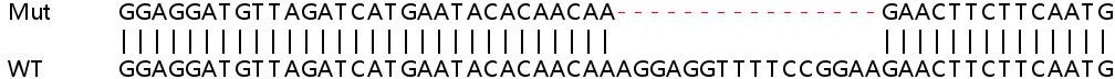 Sanger Sequencing - Human TOP1MT knockout HEK-293T cell line (AB266525), expandable thumbnail