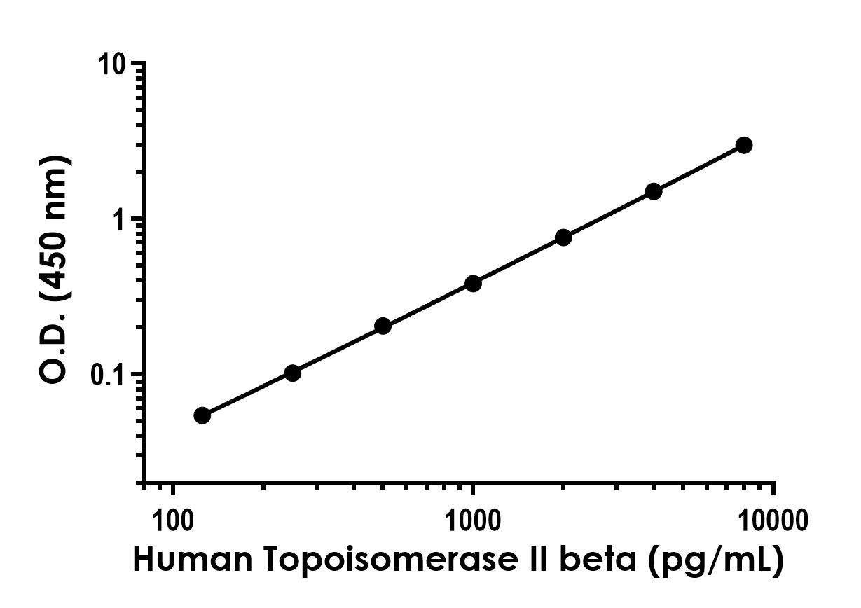 Sandwich ELISA - Human Topoisomerase II beta/TOP2B ELISA Kit- Extracellular (AB324318)