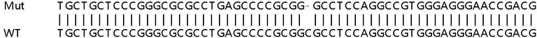 Sanger Sequencing - Human TOR3A knockout HeLa cell line (AB265113)