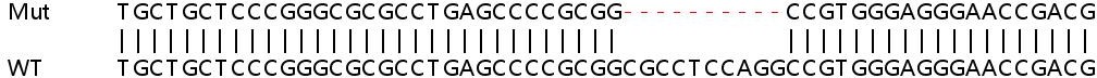 Sanger Sequencing - Human TOR3A knockout HeLa cell lysate (AB263396), expandable thumbnail