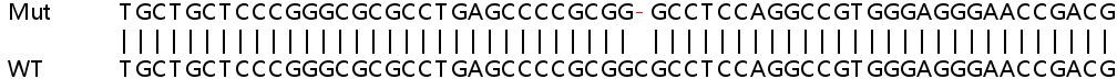Sanger Sequencing - Human TOR3A knockout HeLa cell lysate (AB263396), expandable thumbnail