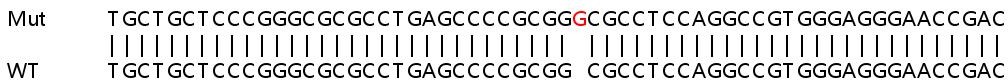 Sanger Sequencing - Human TOR3A knockout HeLa cell lysate (AB263396), expandable thumbnail