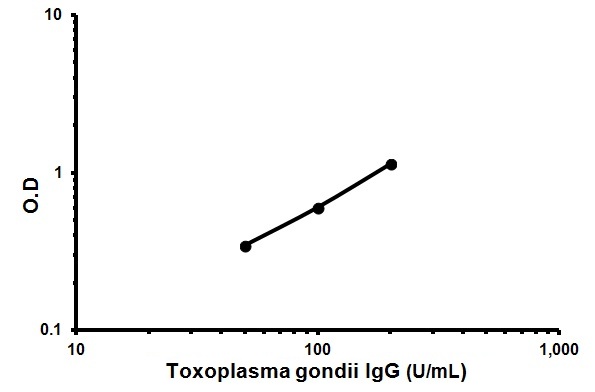 Indirect ELISA - Human Anti-Toxoplasma gondii IgG ELISA Kit (AB108776), expandable thumbnail