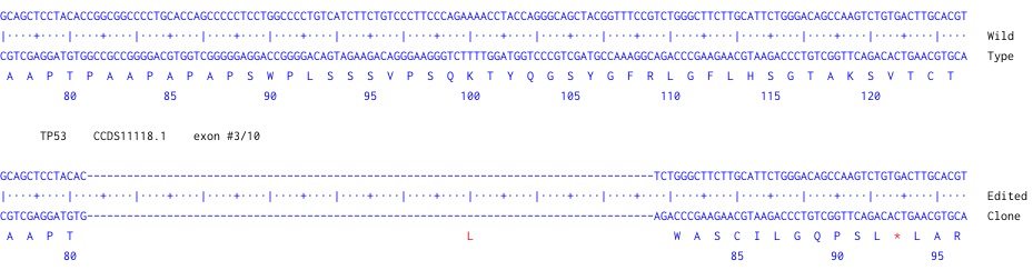 Next Generation Sequencing - Human TP53BP1 knockout HCT116 cell line (AB289184)