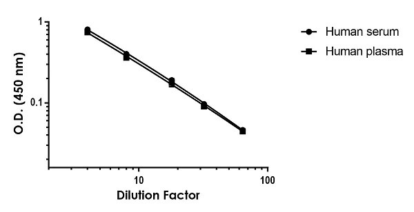 Sandwich ELISA - Human TPA ELISA Kit, Fluorescent (AB229408)