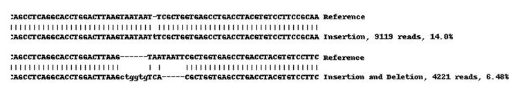 Next Generation Sequencing - Human TPBG knockout MCF7 cell lysate (AB269661)