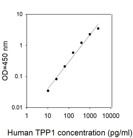 Sandwich ELISA - Human TPP1 ELISA Kit (AB314708)