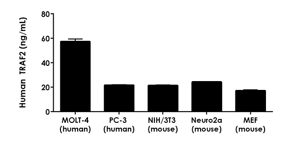 Sandwich ELISA - Human TRAF2 ELISA kit (AB226893)
