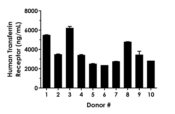 Sandwich ELISA - Human Transferrin Receptor ELISA Kit (CD71) (ab272469), expandable thumbnail