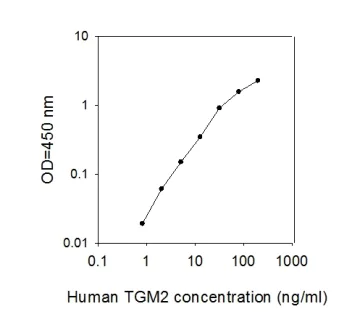 ELISA - Human Transglutaminase 2 ELISA Kit (AB277414)