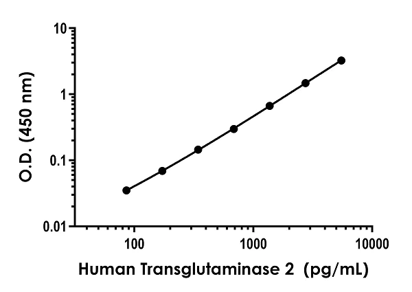 Sandwich ELISA - Human Transglutaminase 2 ELISA Kit (AB283882)