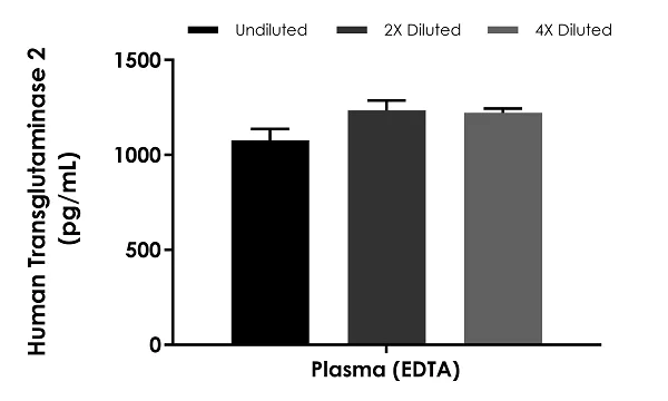 Sandwich ELISA - Human Transglutaminase 2 ELISA Kit (AB283882)