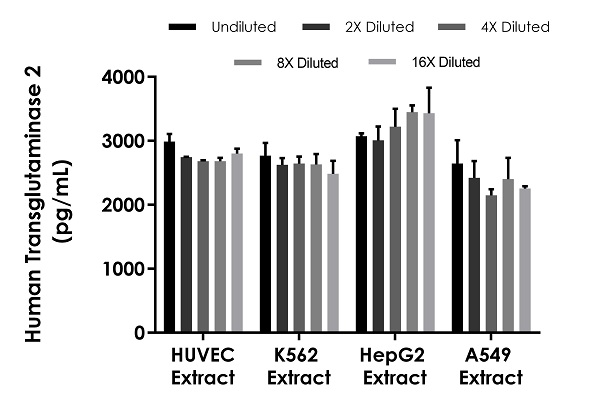 Sandwich ELISA - Human Transglutaminase 2 ELISA Kit (AB283882), expandable thumbnail