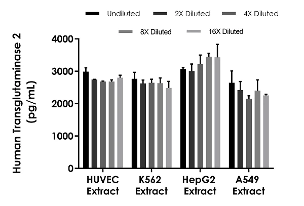 Sandwich ELISA - Human Transglutaminase 2 ELISA Kit (AB283882)