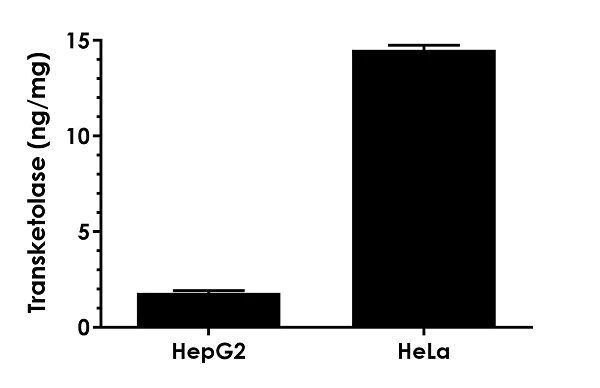 Sandwich ELISA - Human Transketolase ELISA Kit (TKT) (AB187398)