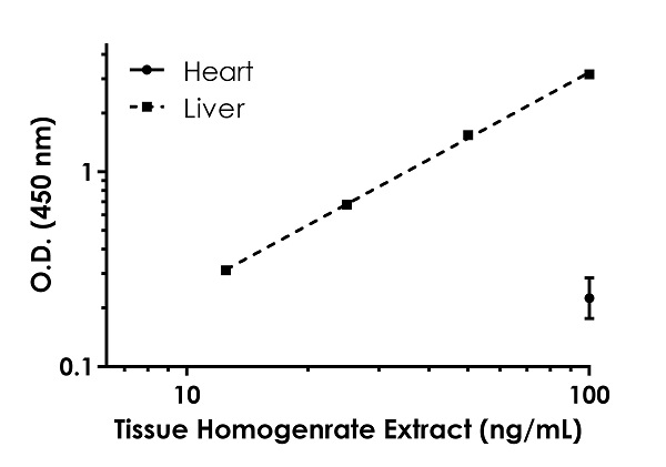 Sandwich ELISA - Human Transketolase ELISA Kit (TKT) (AB187398)