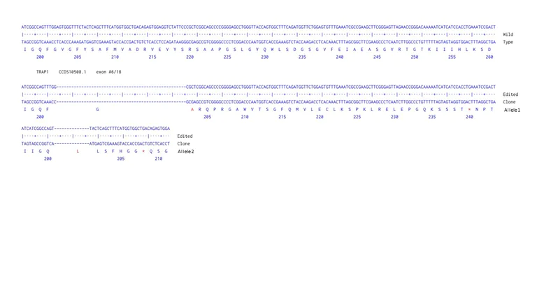 Next Generation Sequencing - Human TRAP1 knockout A549 cell line (AB301281)