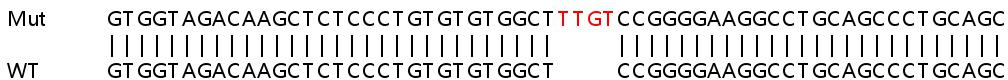 Sanger Sequencing - Human TREX1 knockout A549 cell line (AB266927), expandable thumbnail